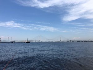 IMG_6379