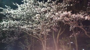 20170406_194200
