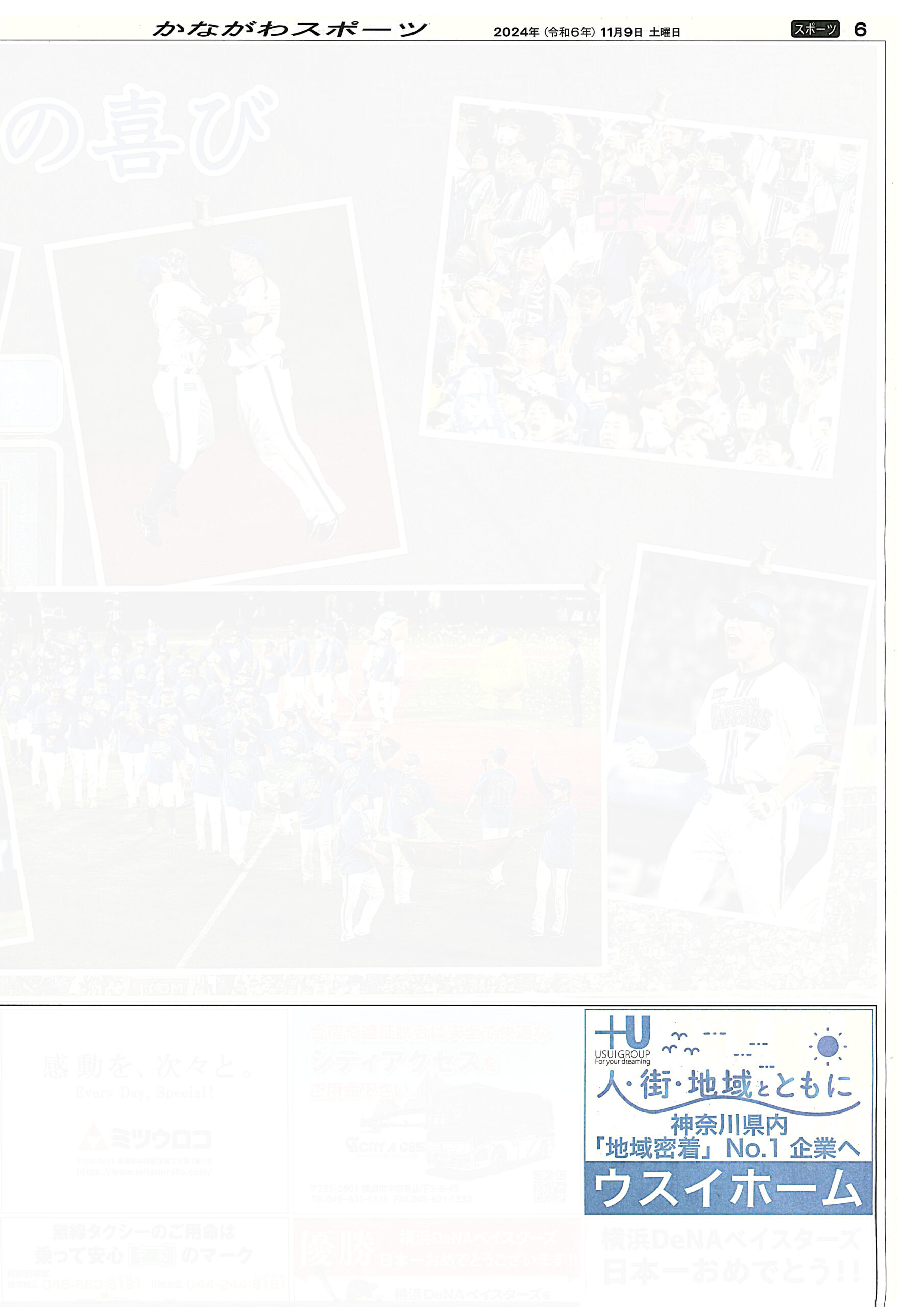 2024.11.09_神奈川新聞_横浜DeNAベイスターズ日本一特集企画