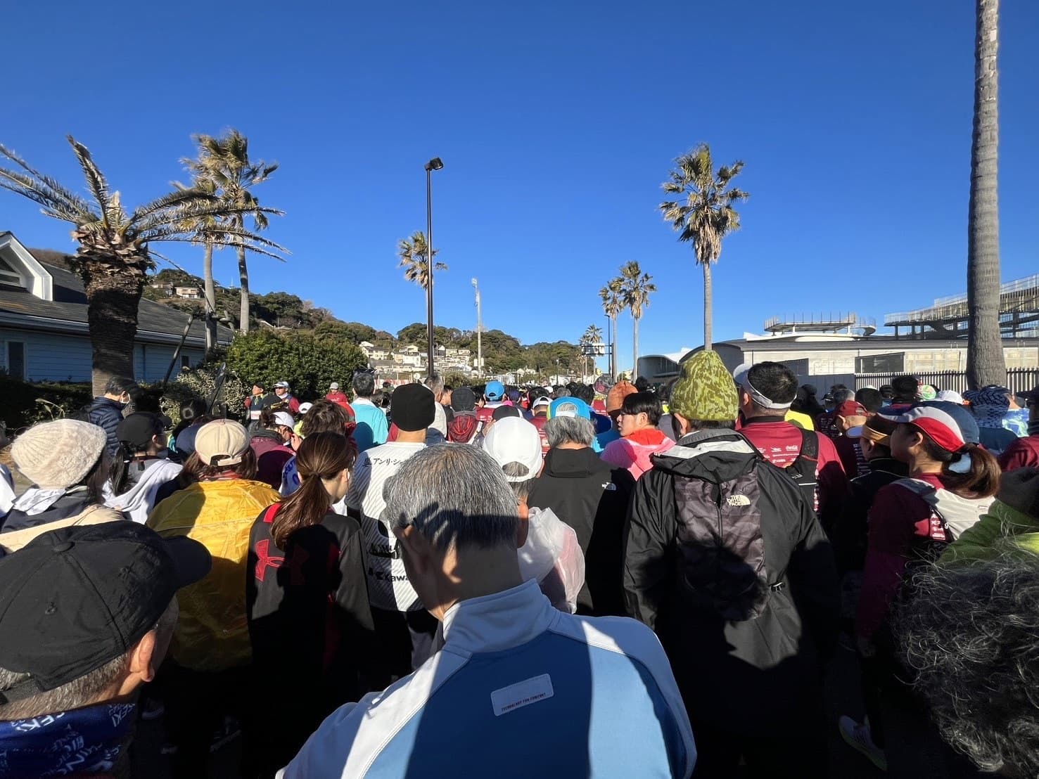 2025.01.26_第15回 湘南藤沢市民マラソン2025 (1)