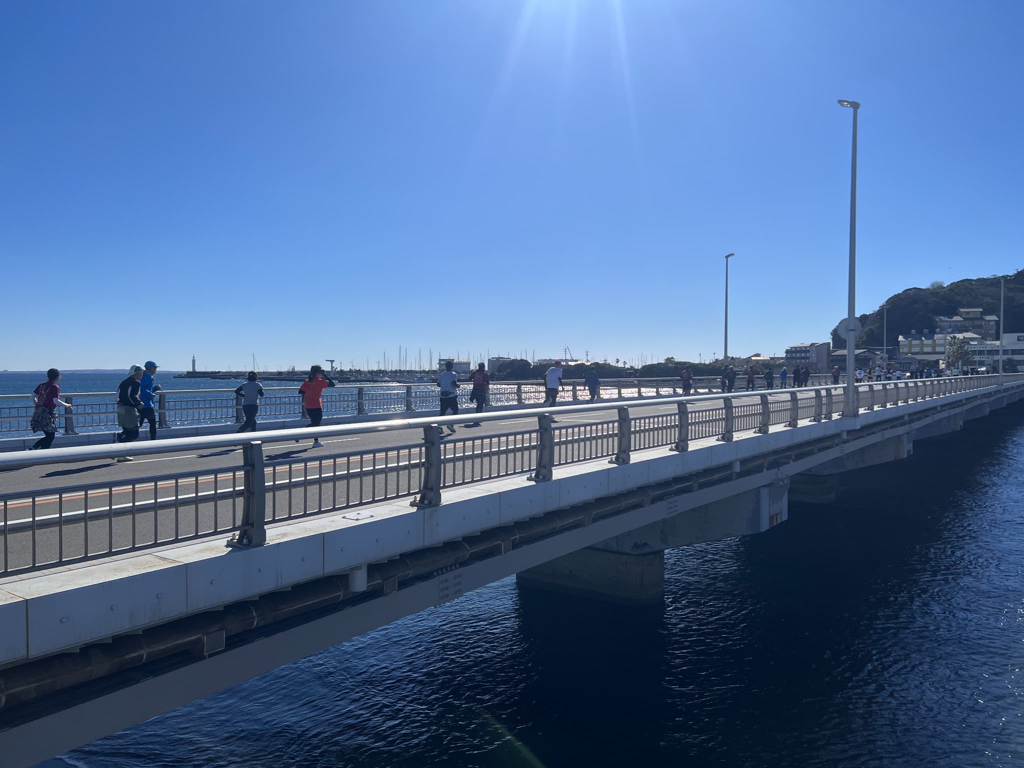 2025.01.26_第15回 湘南藤沢市民マラソン2025 (3)