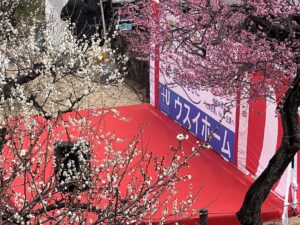 2025.02.22-23「第37回 大倉山観梅会」への協賛